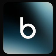 Blaise logo